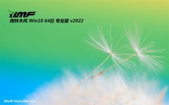 雨林木风最新64位win10老电脑精致版v2022.10