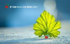 新萝卜家园win11极简精简版64位v2022.10
