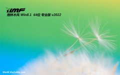 雨林木风v2021.12最新win8.1 64位不死机超速版